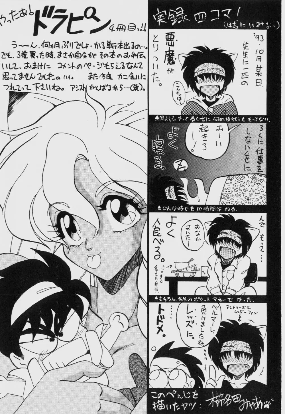 ドラゴンピンク THE SECRET POWER Page.176