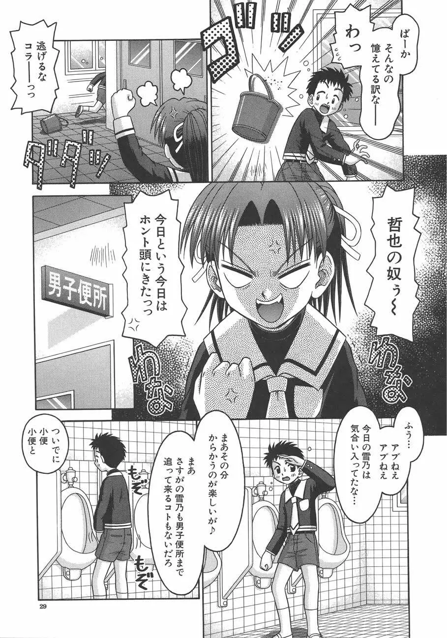 甘いつぼみ Page.30