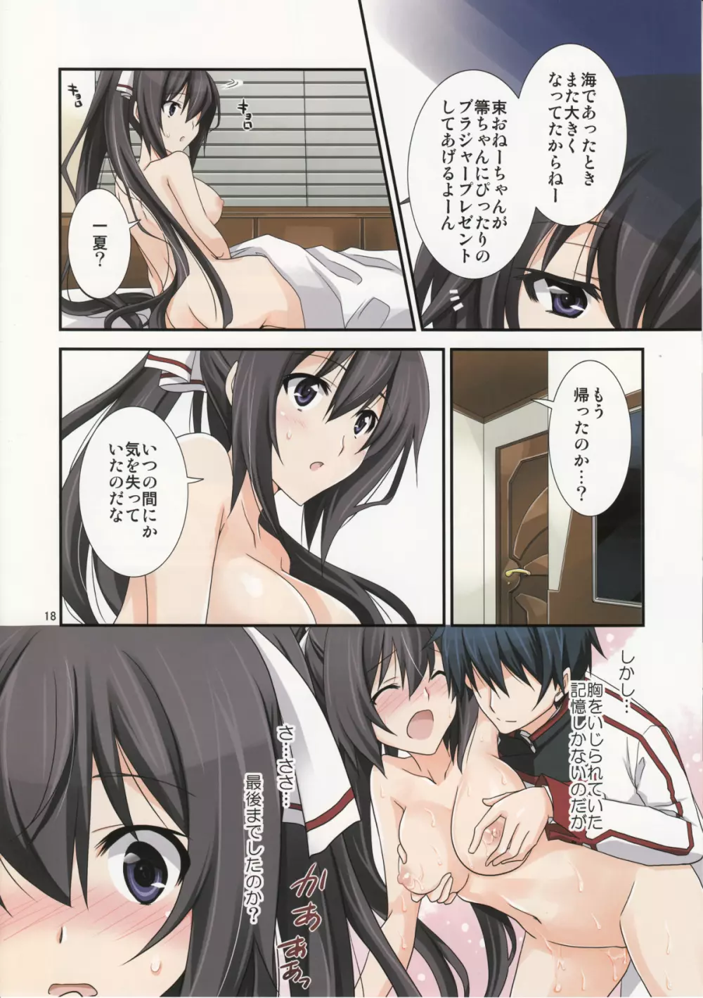 Burst Up！Infinite Stratos FAN BOOK Page.17