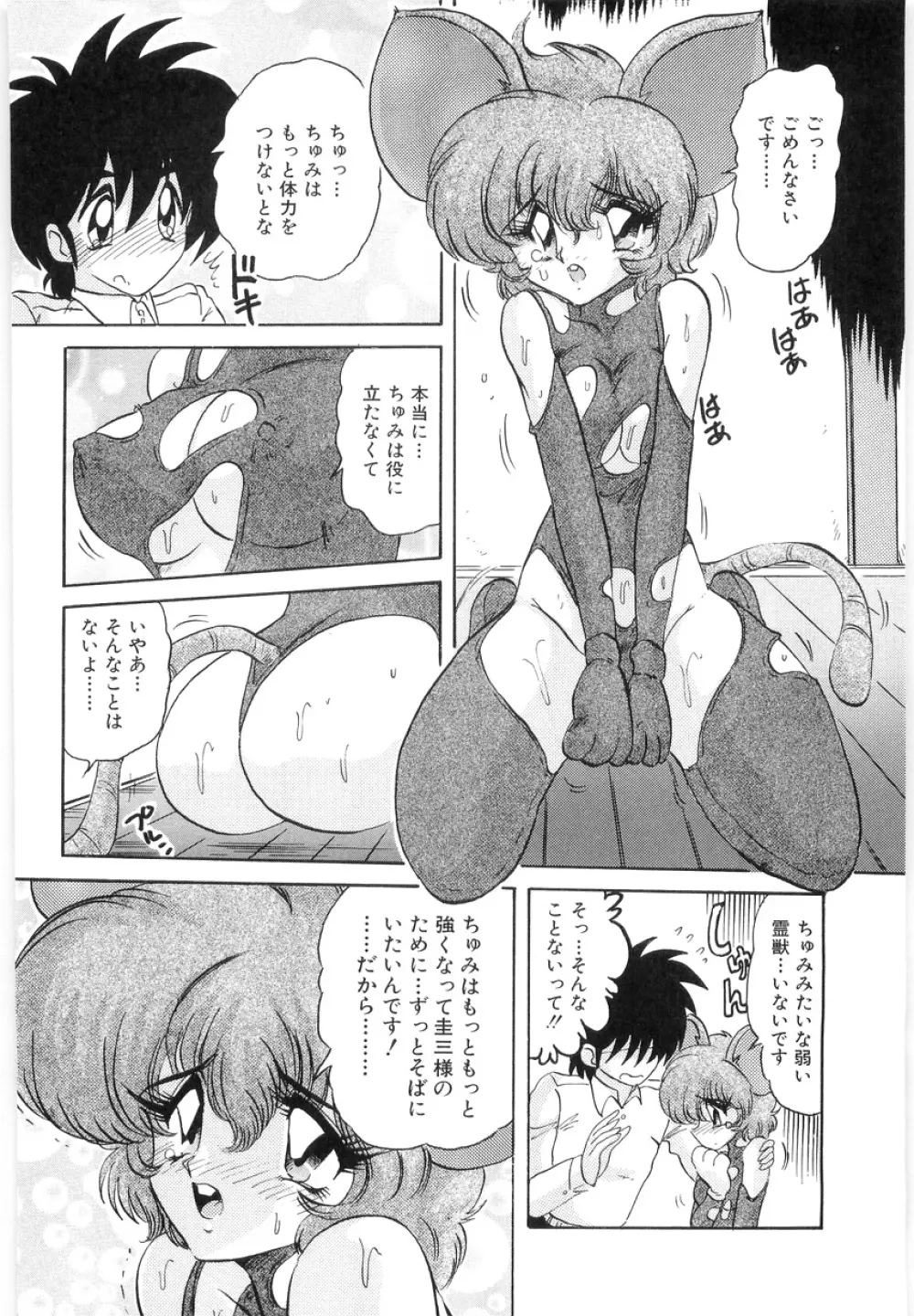 封獣師アニマスター Page.14