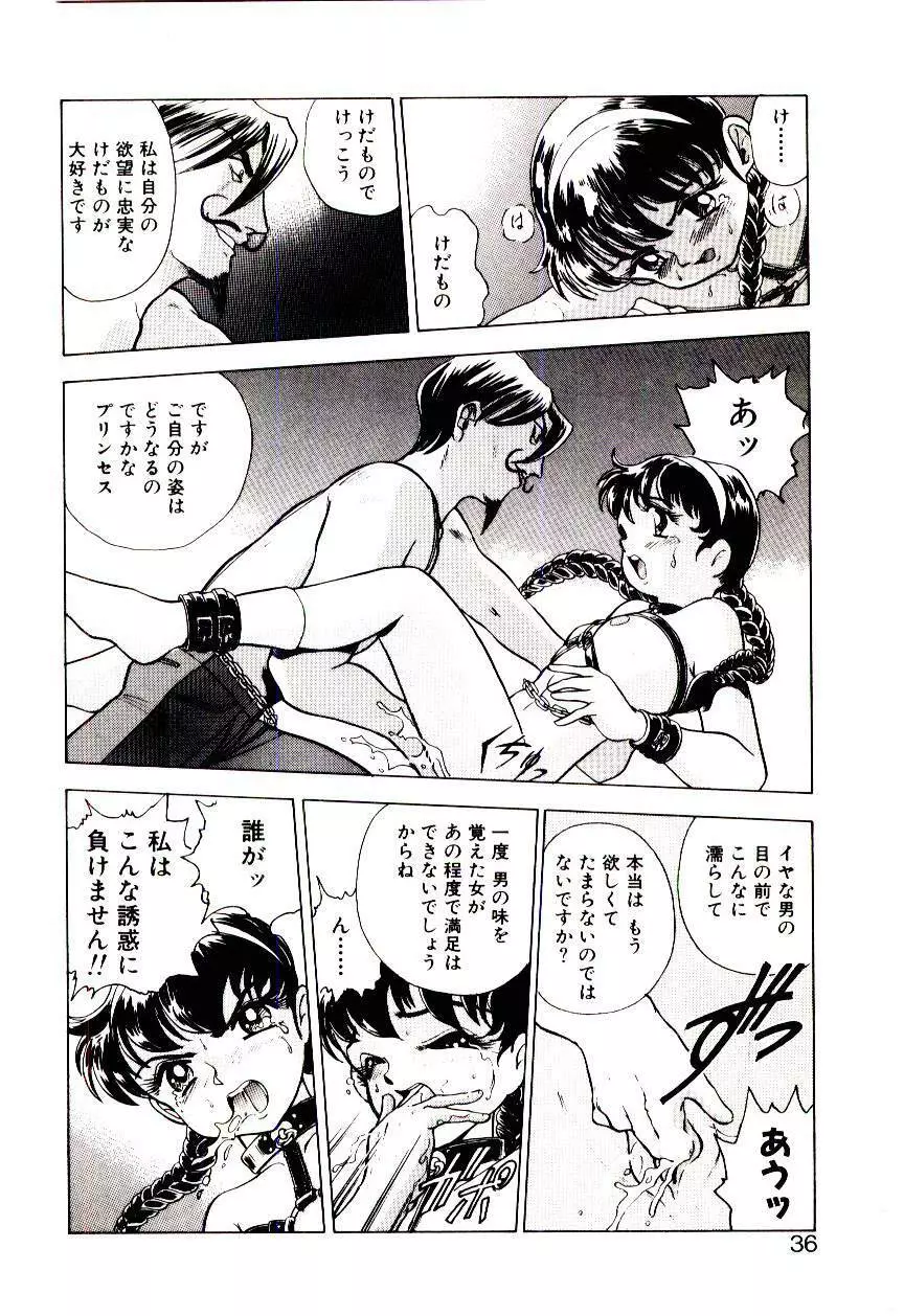 冒険！！王家の紋章 Page.35