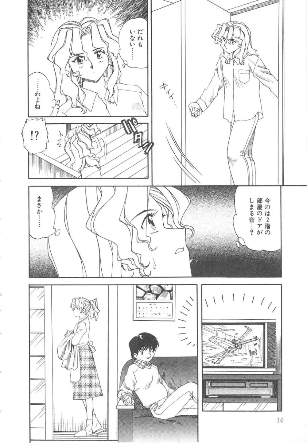 姦淫貴婦人 Page.15