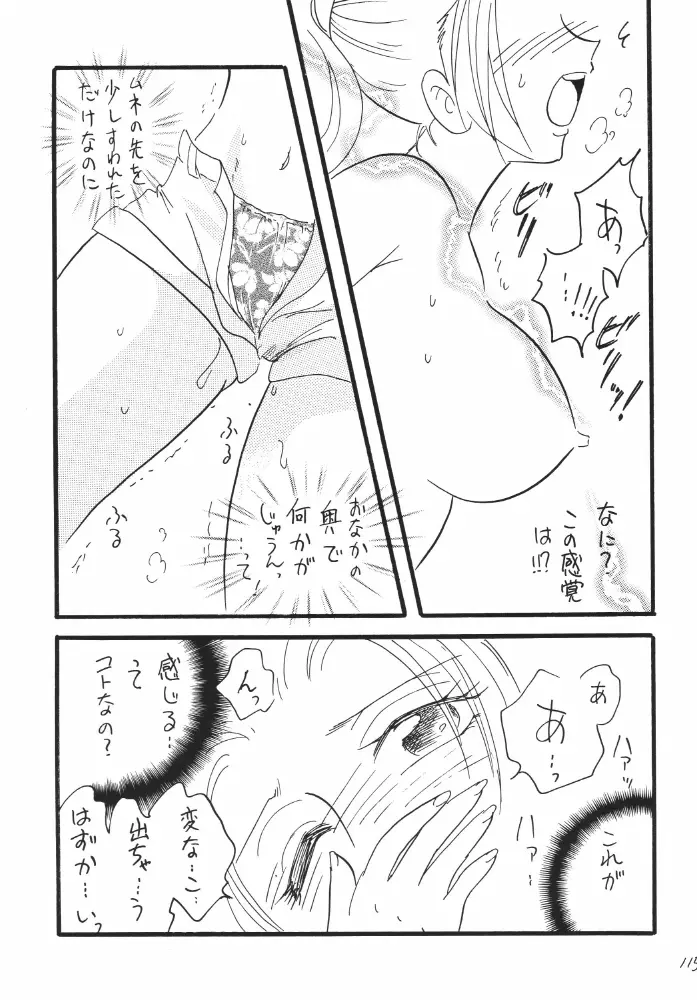 航海日誌DX Page.115