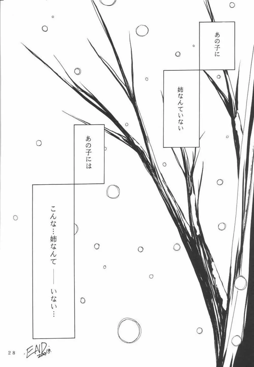 KANONIZUMU・Ⅸ かのにずむ・IX Page.27