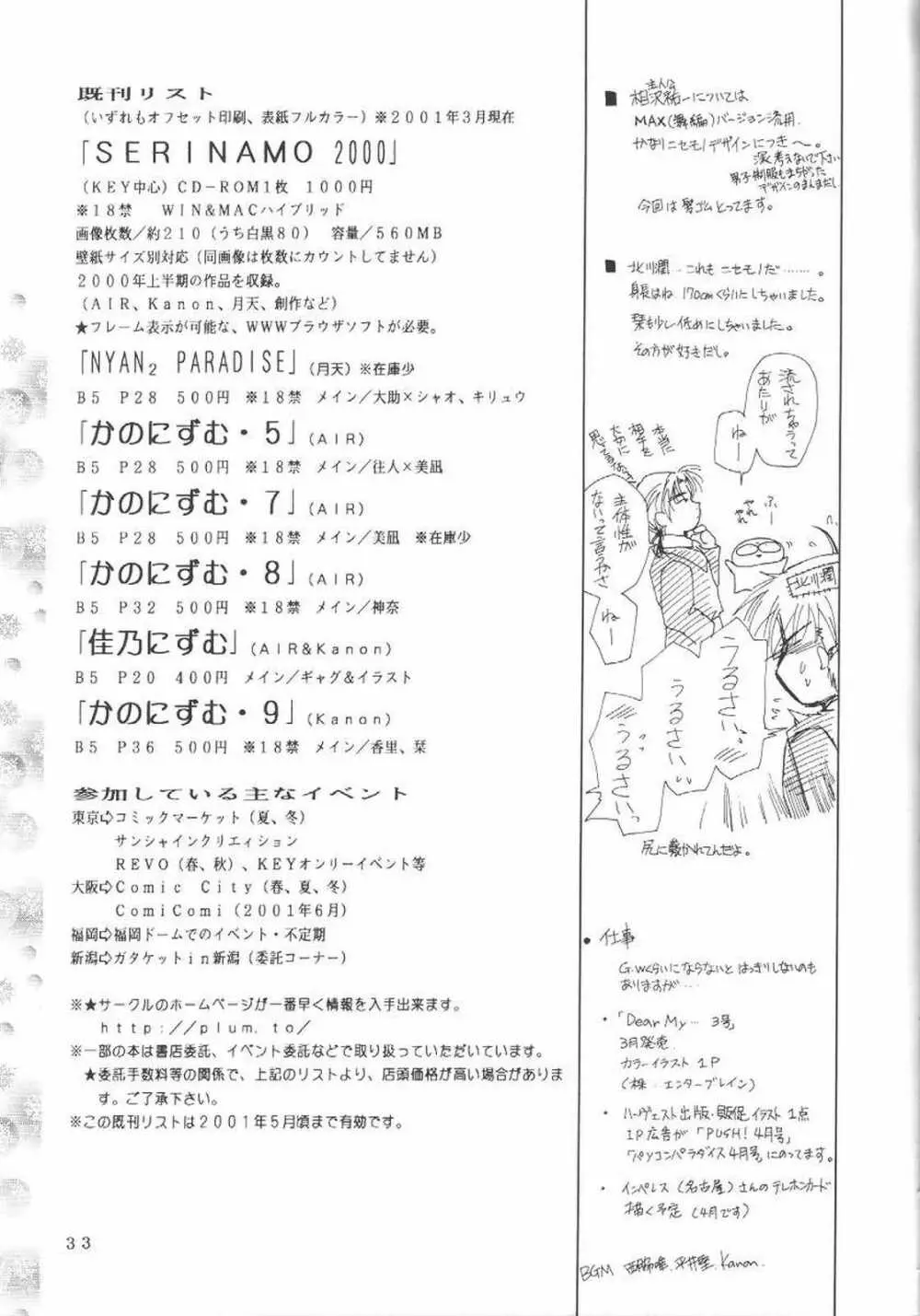KANONIZUMU・Ⅸ かのにずむ・IX Page.32