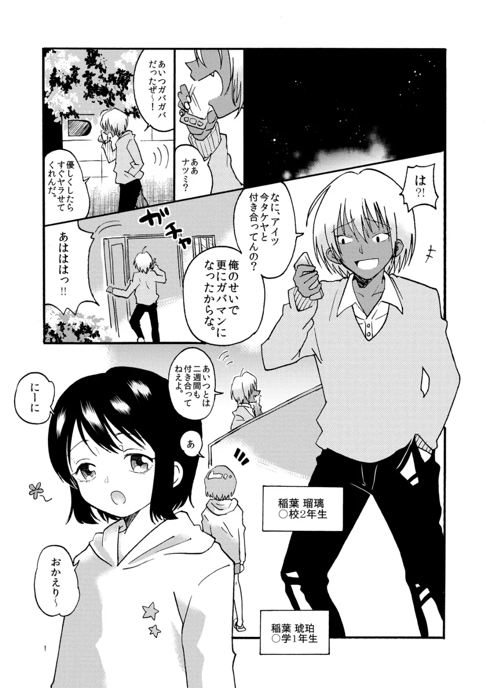 豚に捧ぐ狂気の帳 Page.3