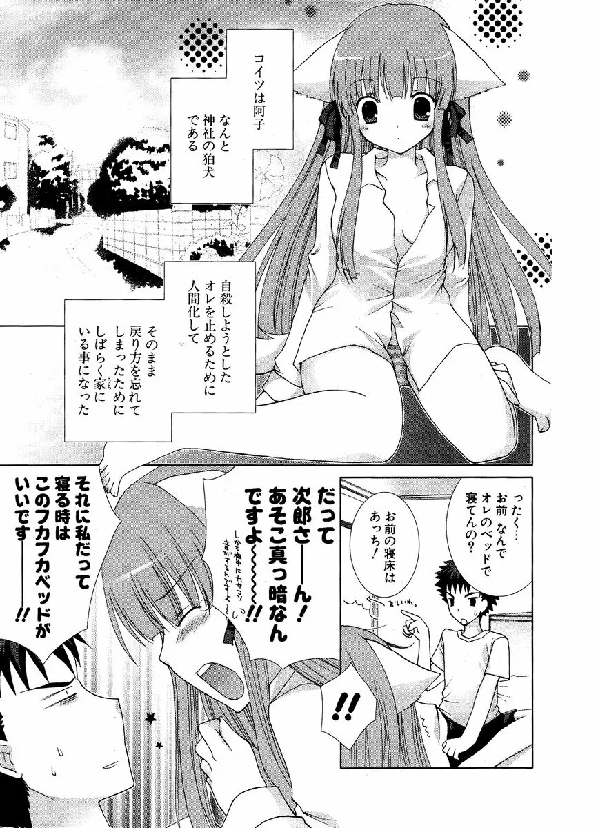 COMIC ポプリクラブ 2006年12月号 Page.203