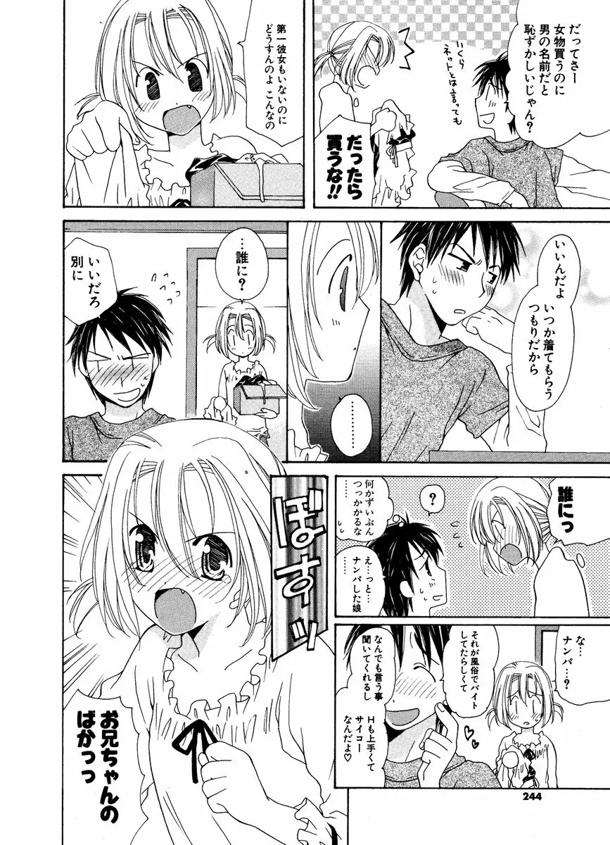 COMIC ポプリクラブ 2006年12月号 Page.242