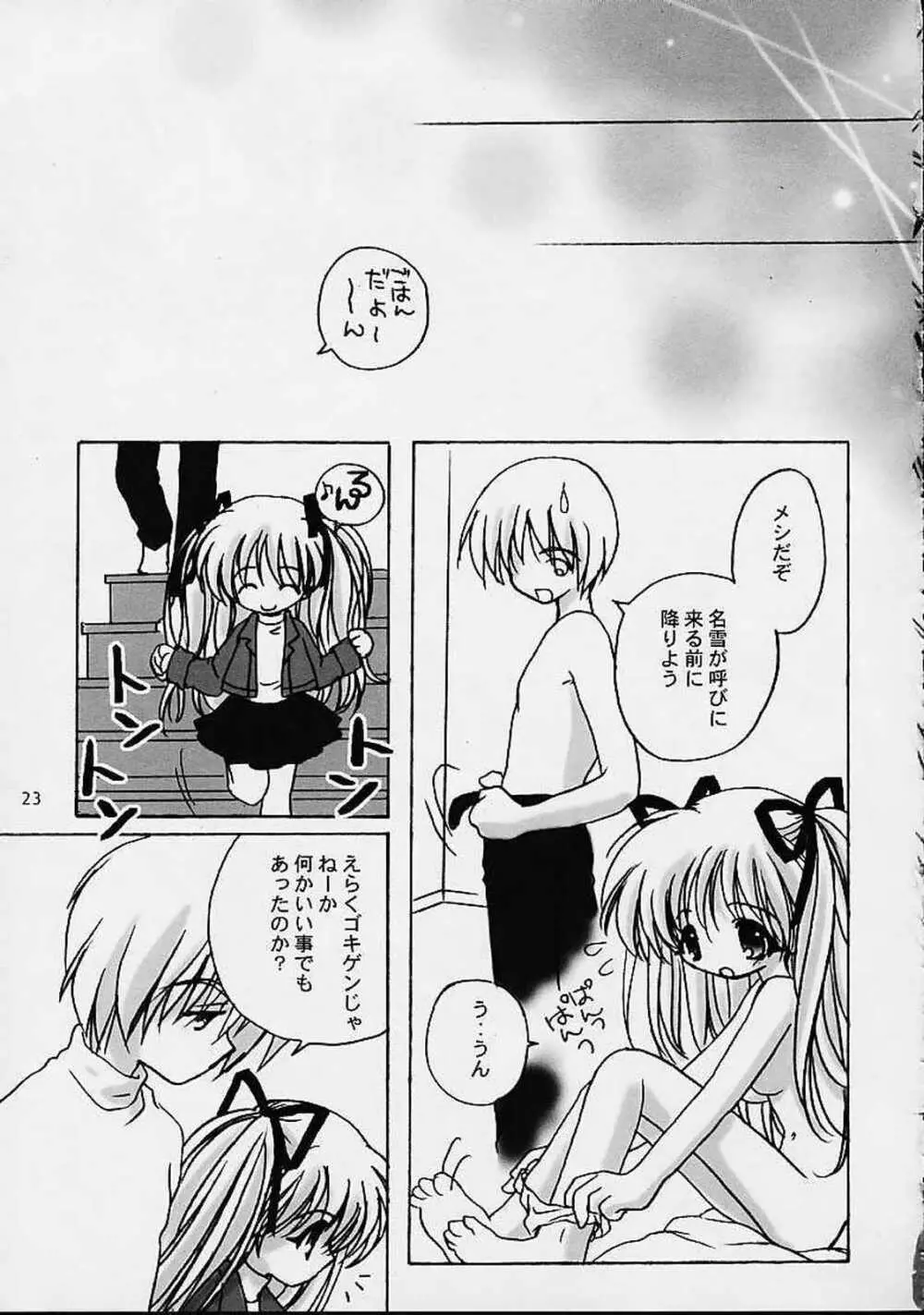 スノークリスタル Page.22