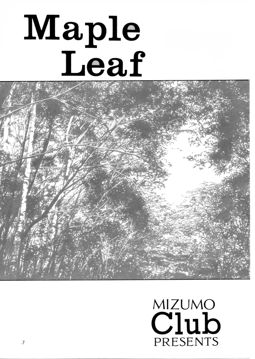 Maple Leaf （ときめきメモリアル） Page.2