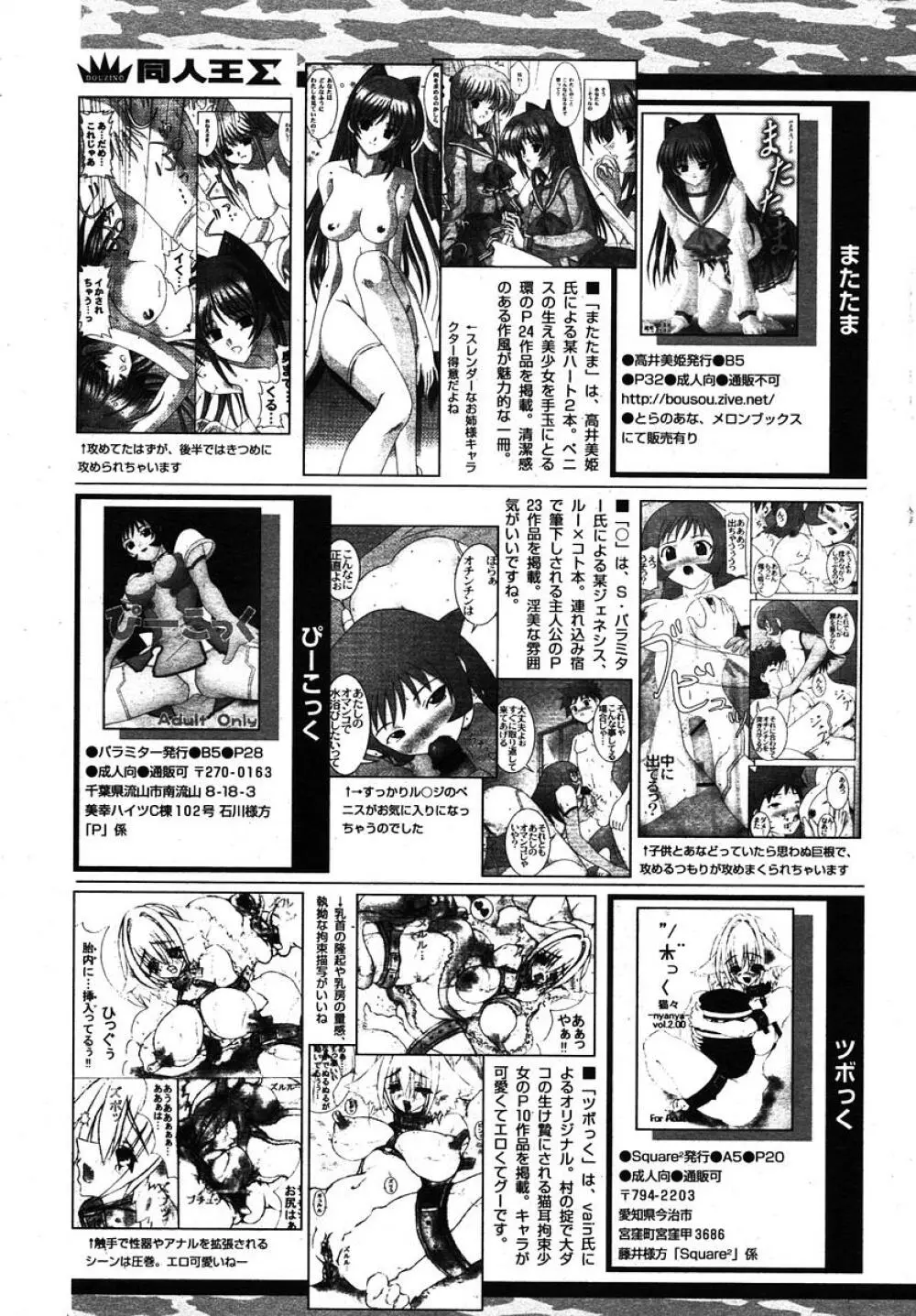 COMIC パピポ 2005年11月号 Page.245