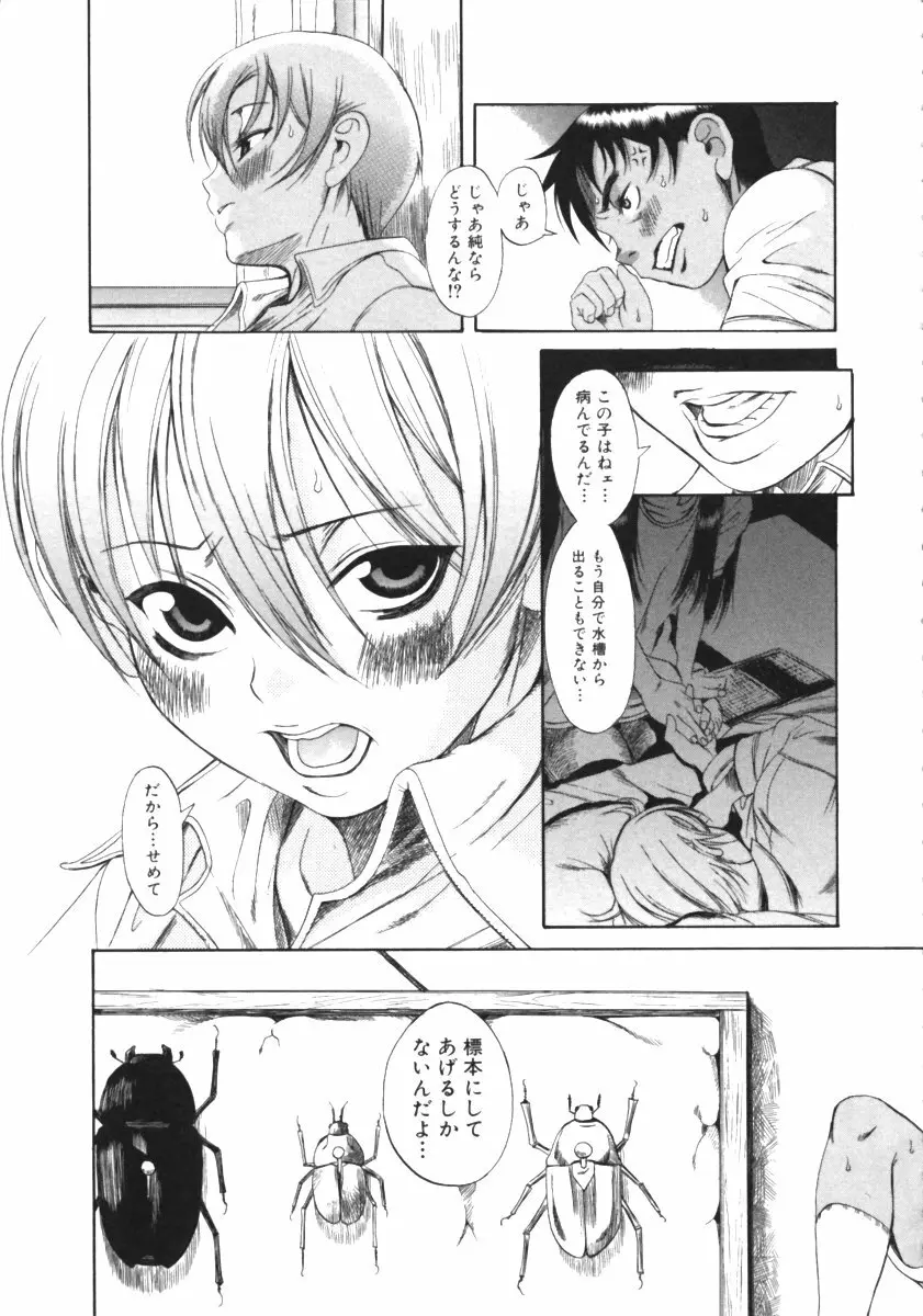 くわがた Page.125