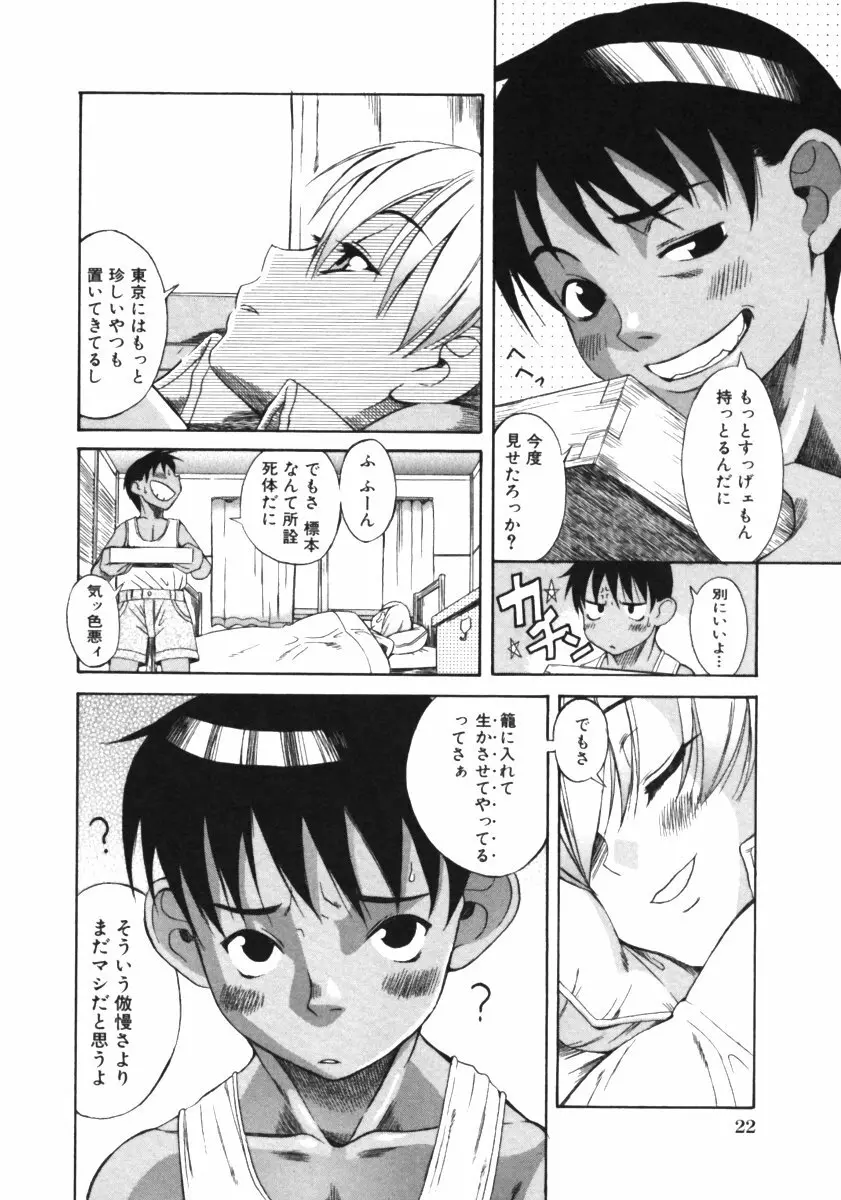 くわがた Page.24