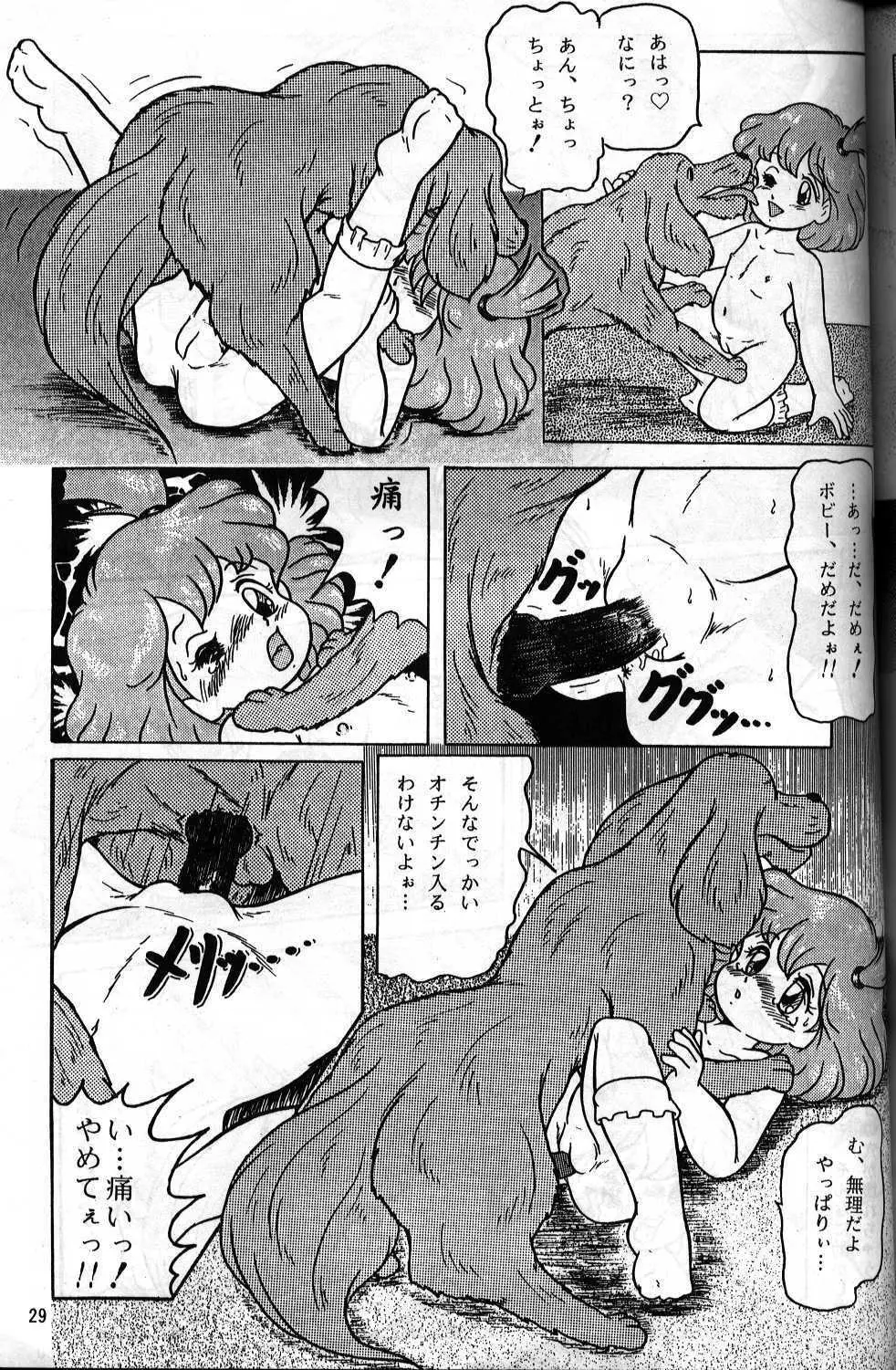 動物愛護じゅうかん Page.26