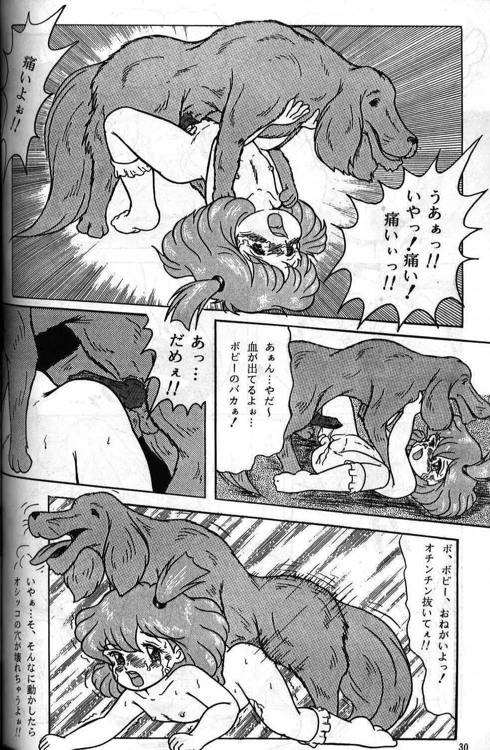 動物愛護じゅうかん Page.27