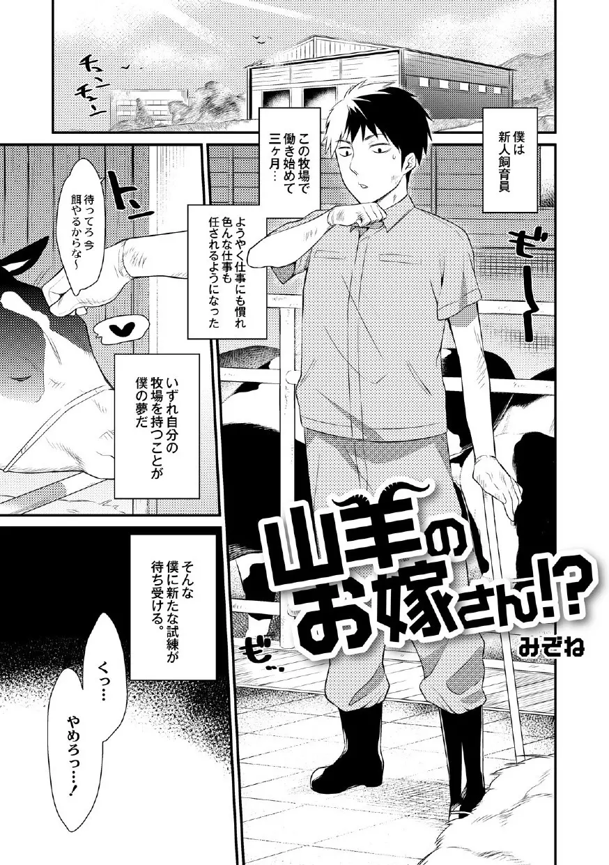 山羊のお嫁さん!? Page.1