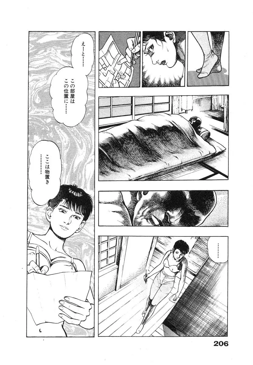 略奪都市 1 Page.211