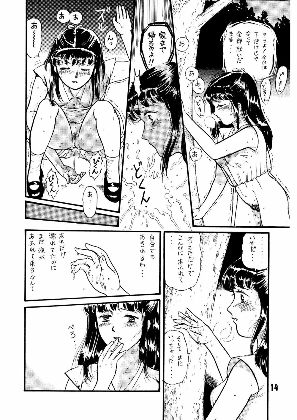 夏の夜は三たび微笑む Page.14