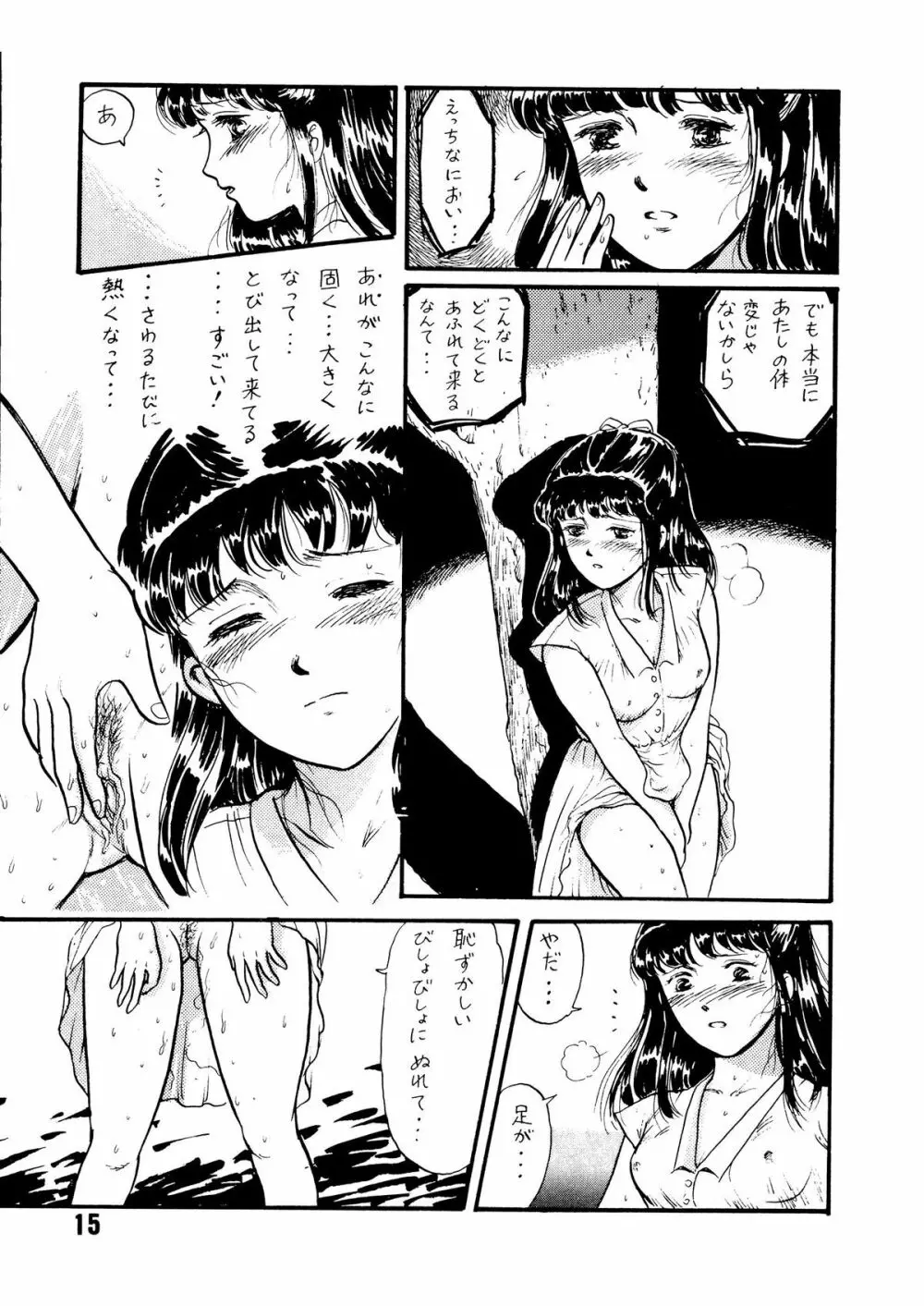 夏の夜は三たび微笑む Page.15