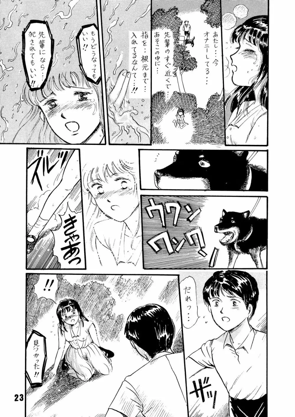 夏の夜は三たび微笑む Page.23