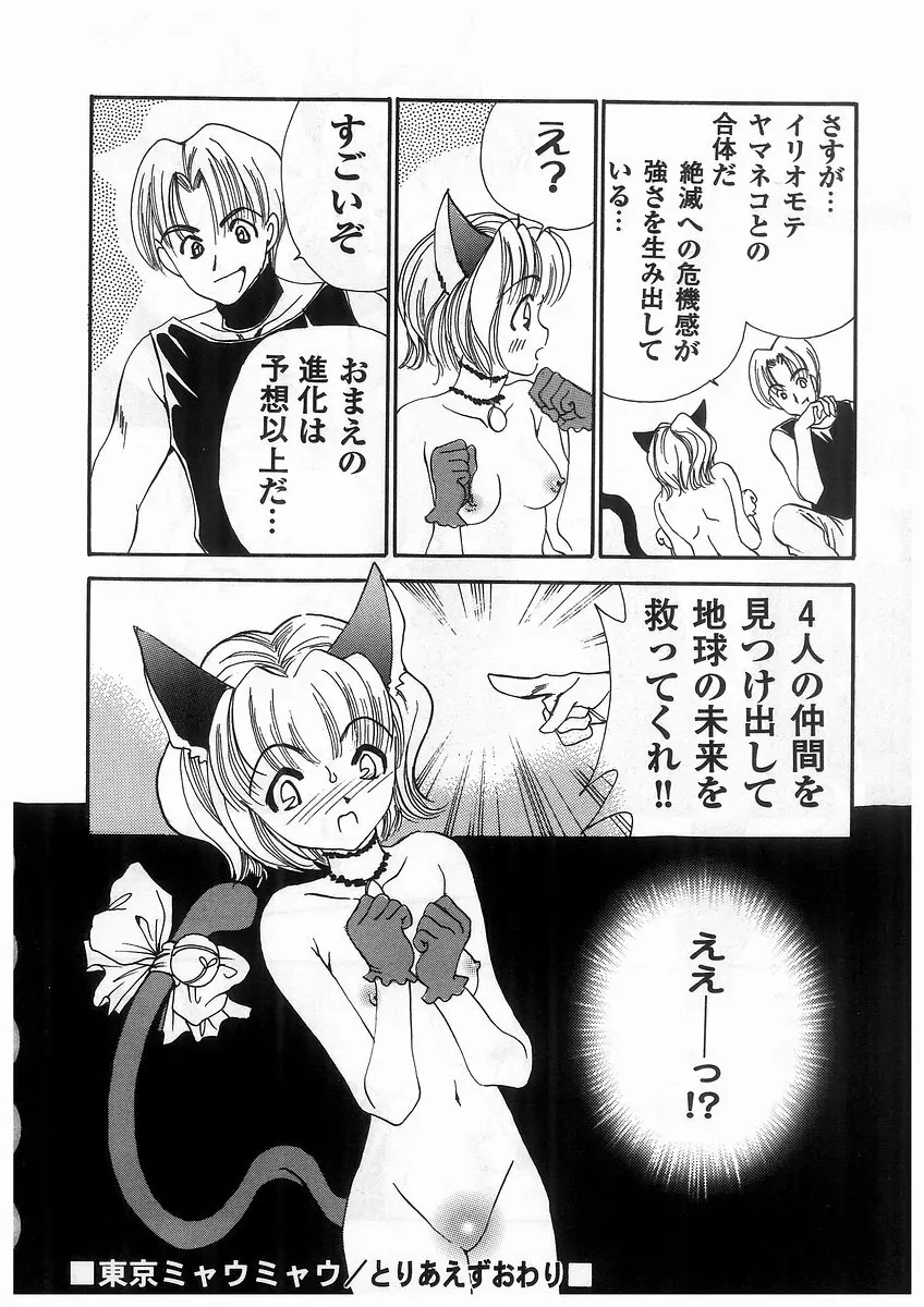 東京ちょびひな物語 Page.155