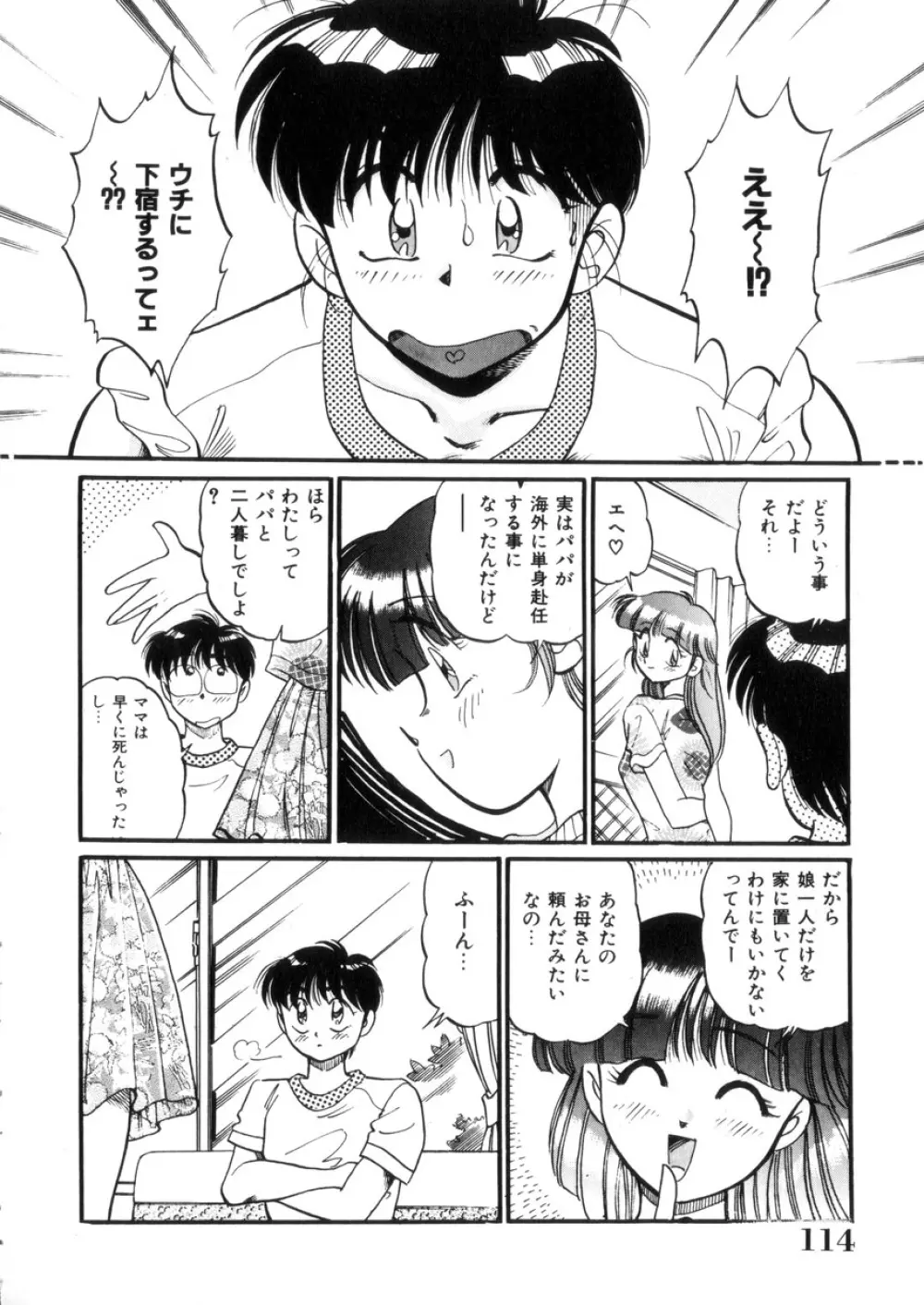 ときめき処女白書 Page.115