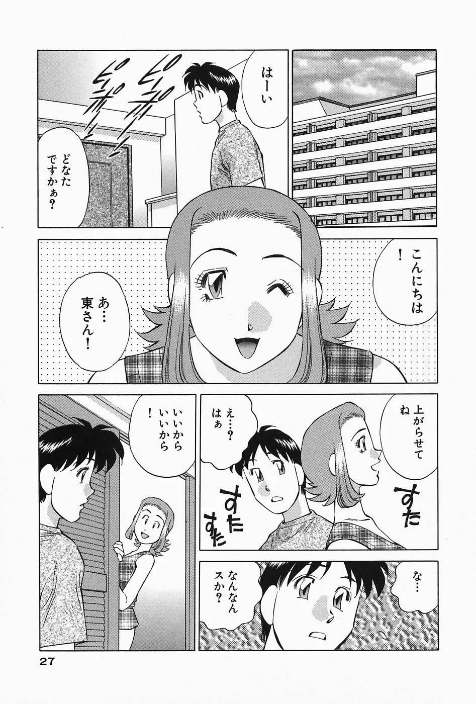 ヒ・ミ・ツの有閑マダム 2 Page.29