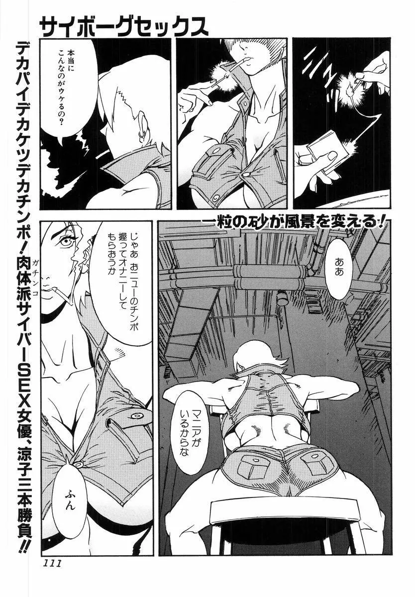 Hのある風景 Page.113