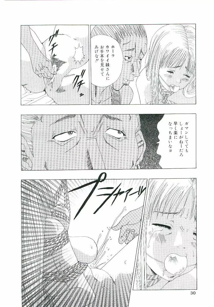 天鵞絨の鞭 Page.29