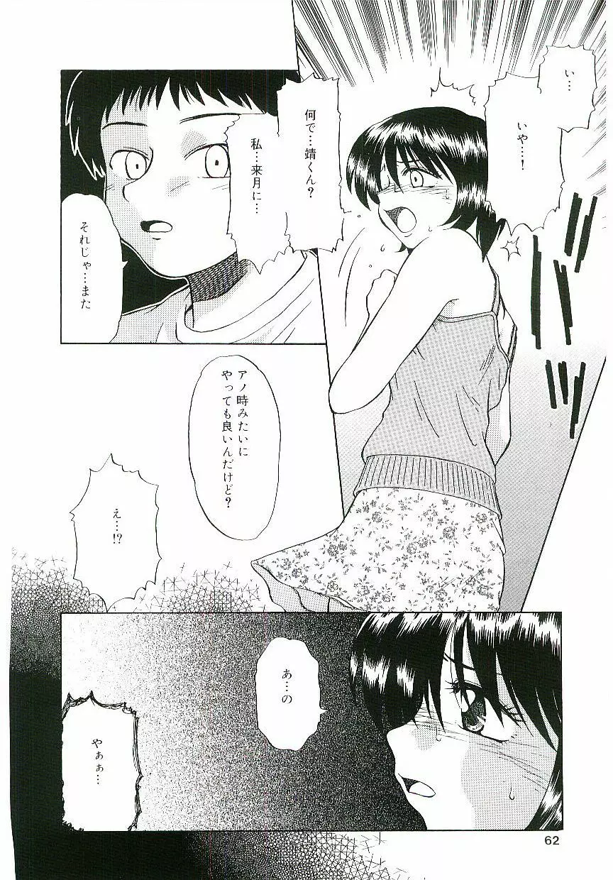 天鵞絨の鞭 Page.61