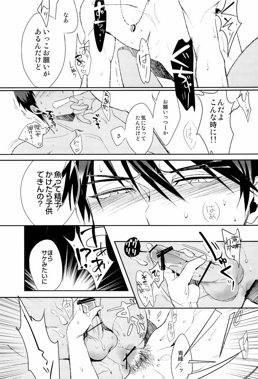 魚峰 Page.24