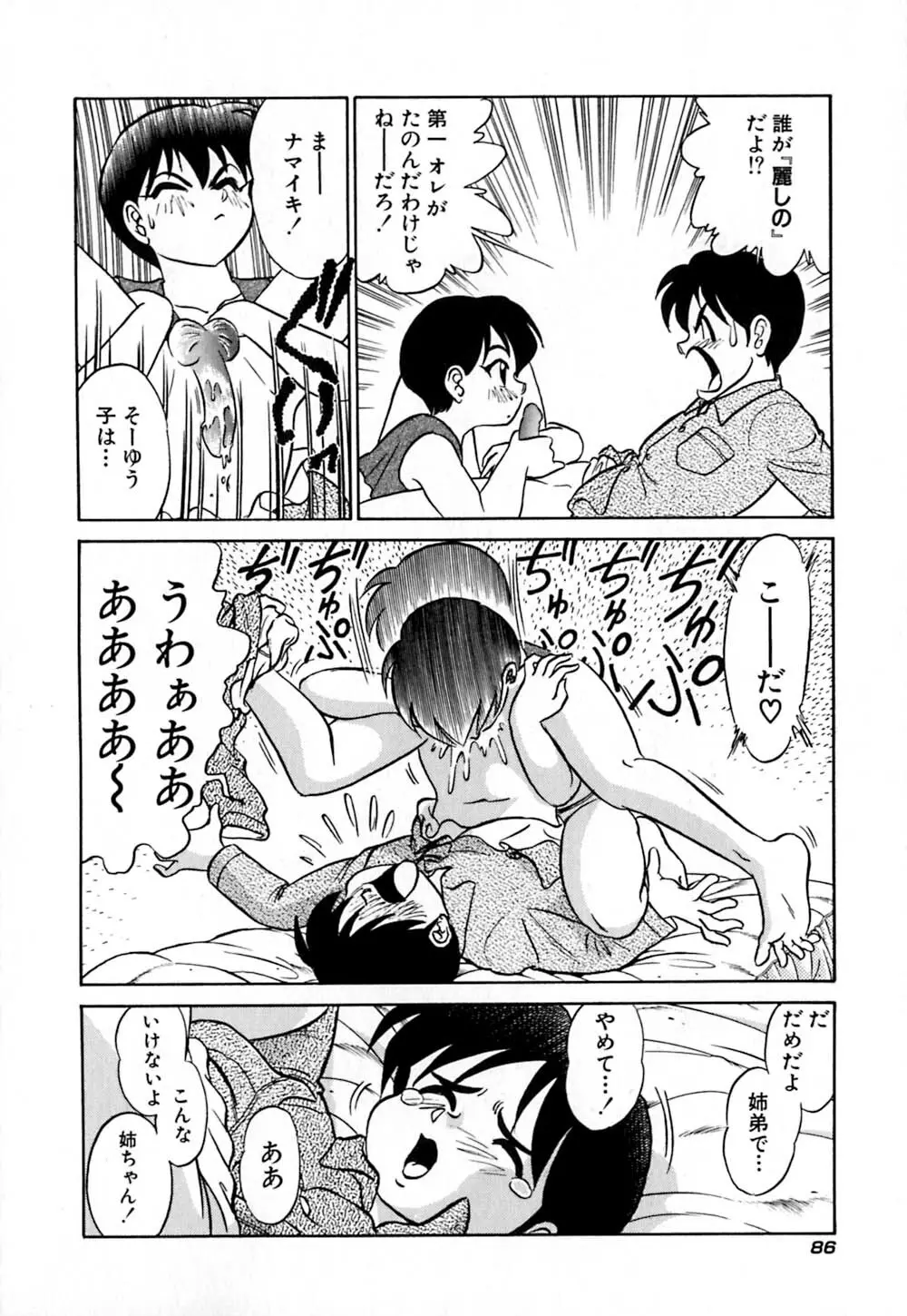 桃色物件（ピンクハウス） 第1巻 Page.91