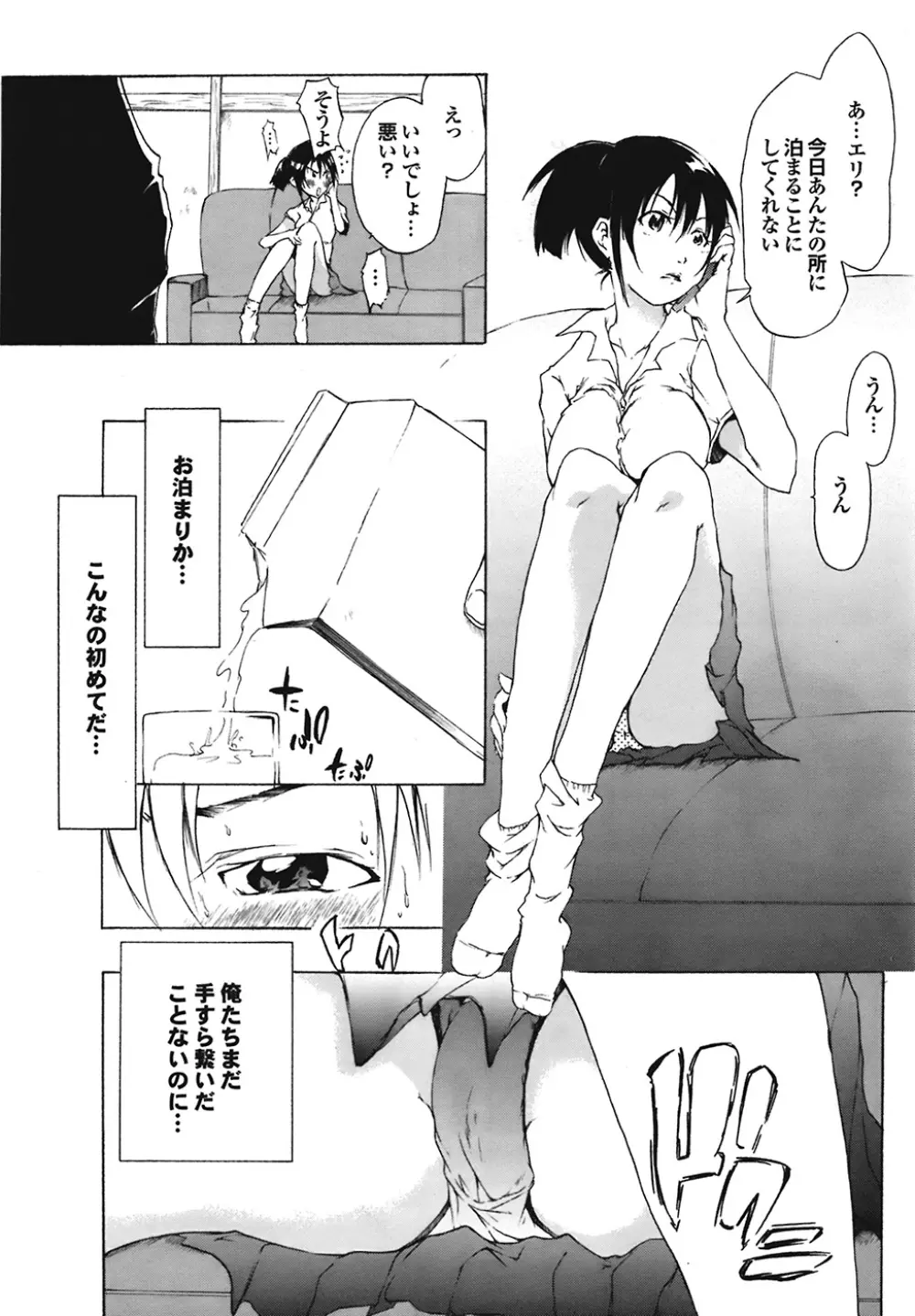 COMIC プルメロ 2008年12月号 vol.24 Page.19