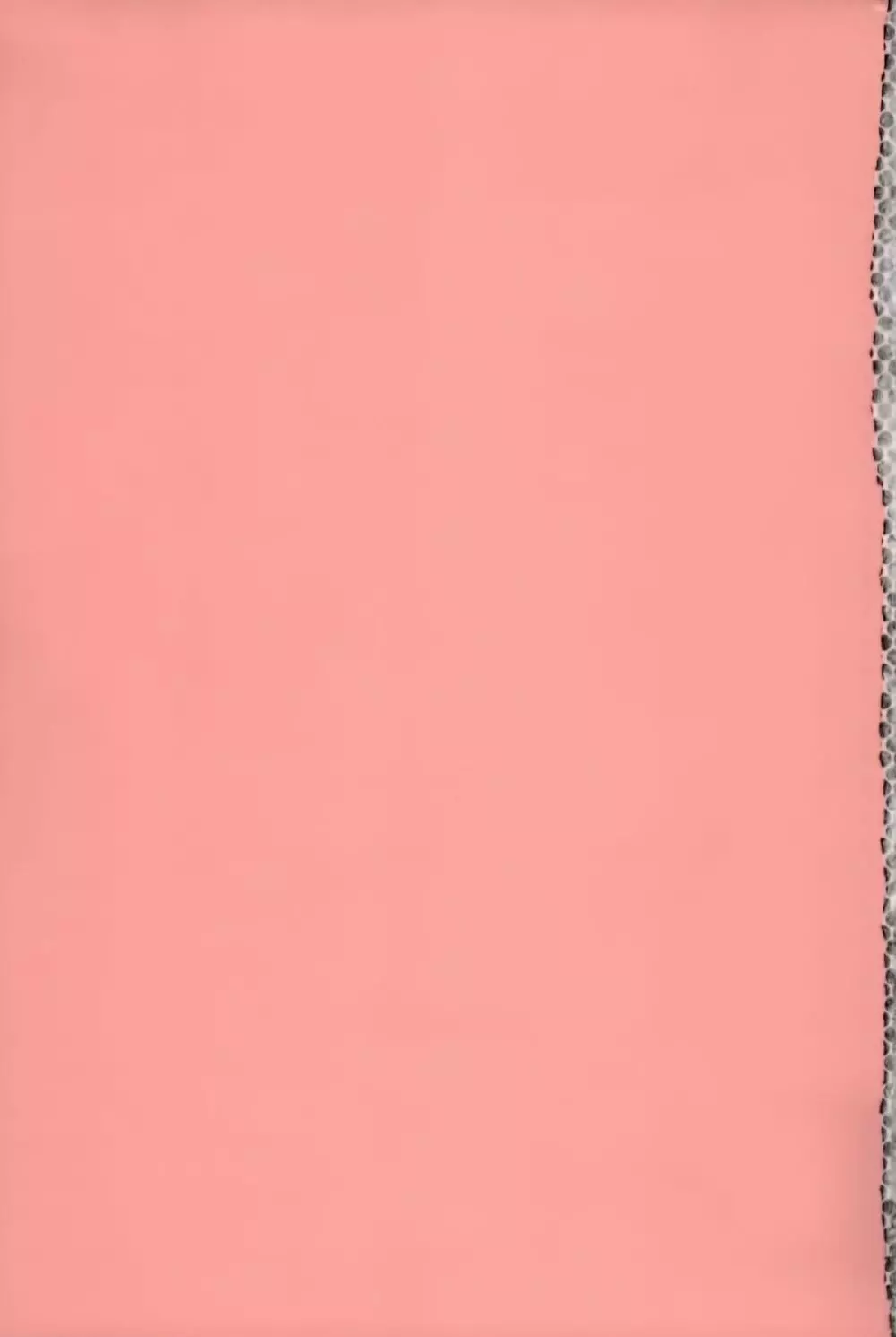 発情は~れむノート♡ Page.216