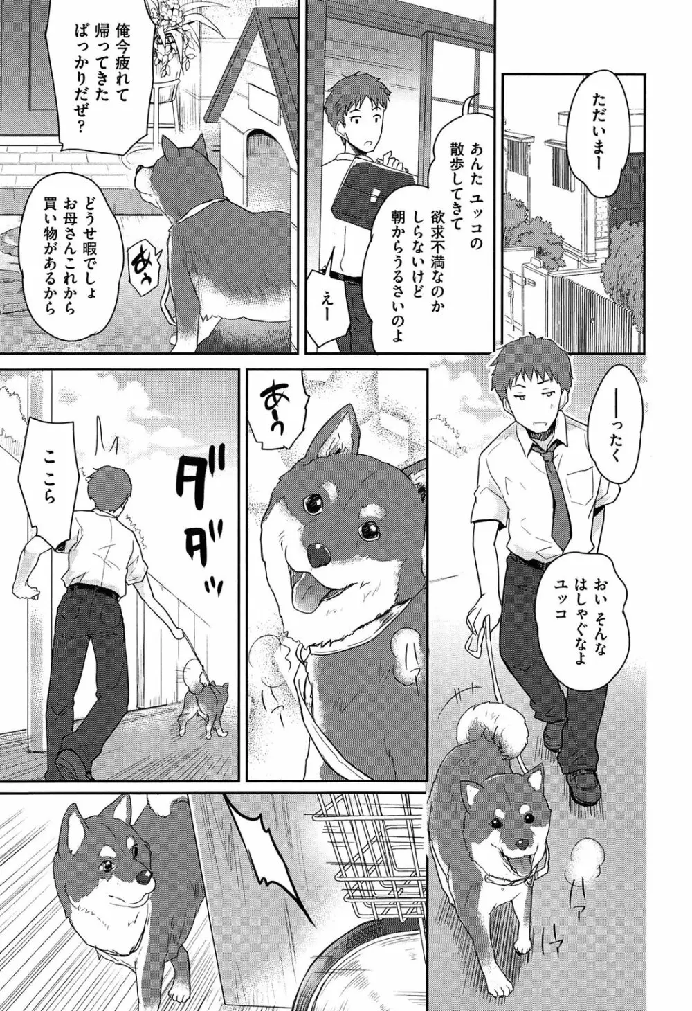 MGY Page.33