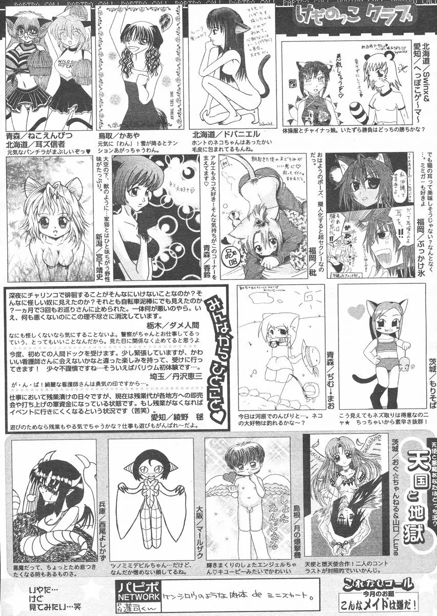 COMIC パピポ 2005年1月号 Page.256