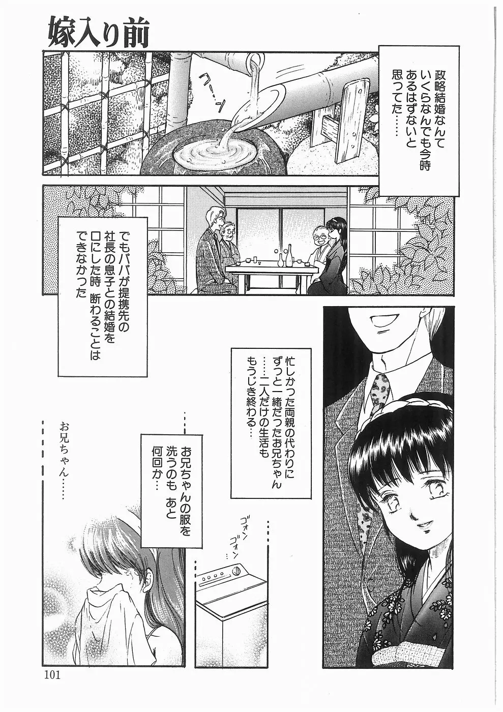 ヒミツの蕾 Page.101