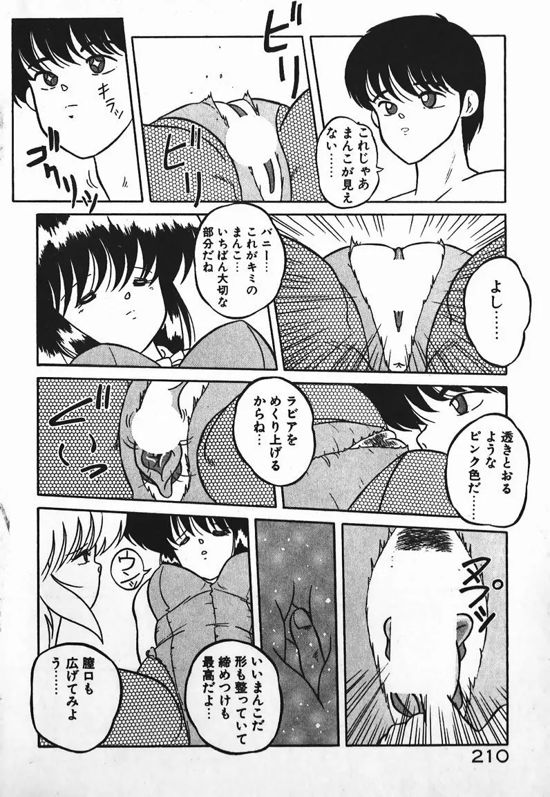 ラブラブ戦線異状あり! Page.210
