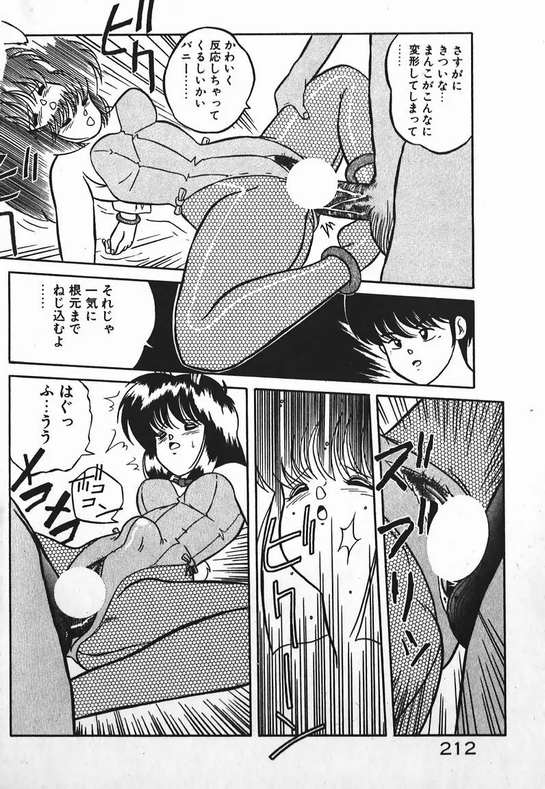ラブラブ戦線異状あり! Page.212