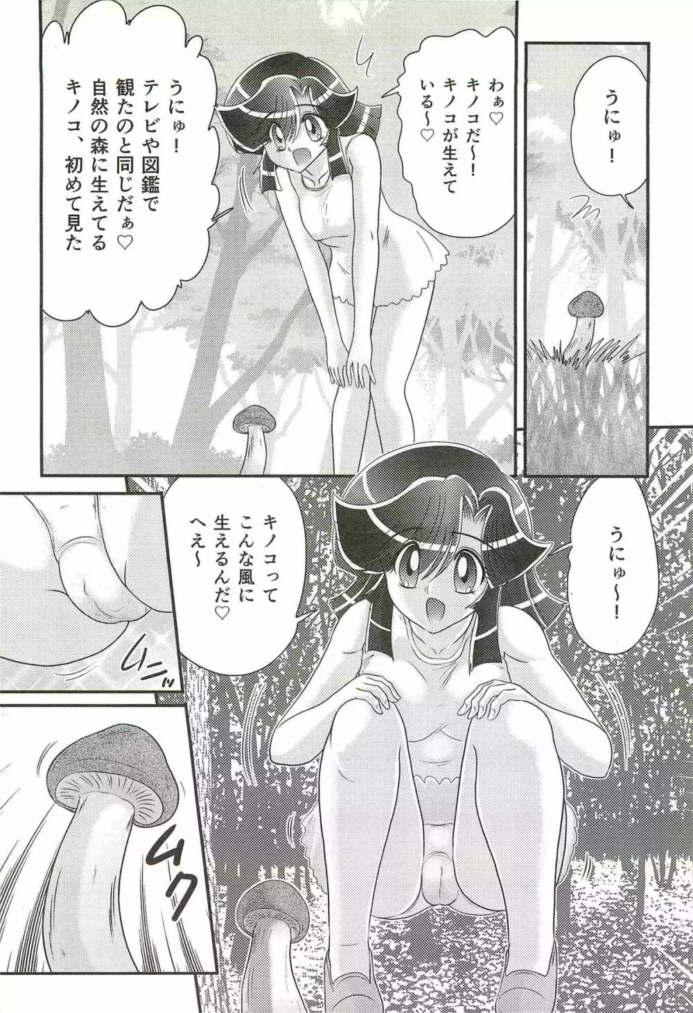 精霊特捜フェアリィセイバーW 処女狩り Page.48