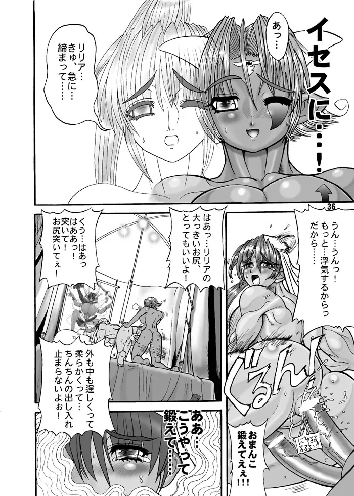 TGWOA Vol.7 - ルキナと砂漠の王女 Page.17