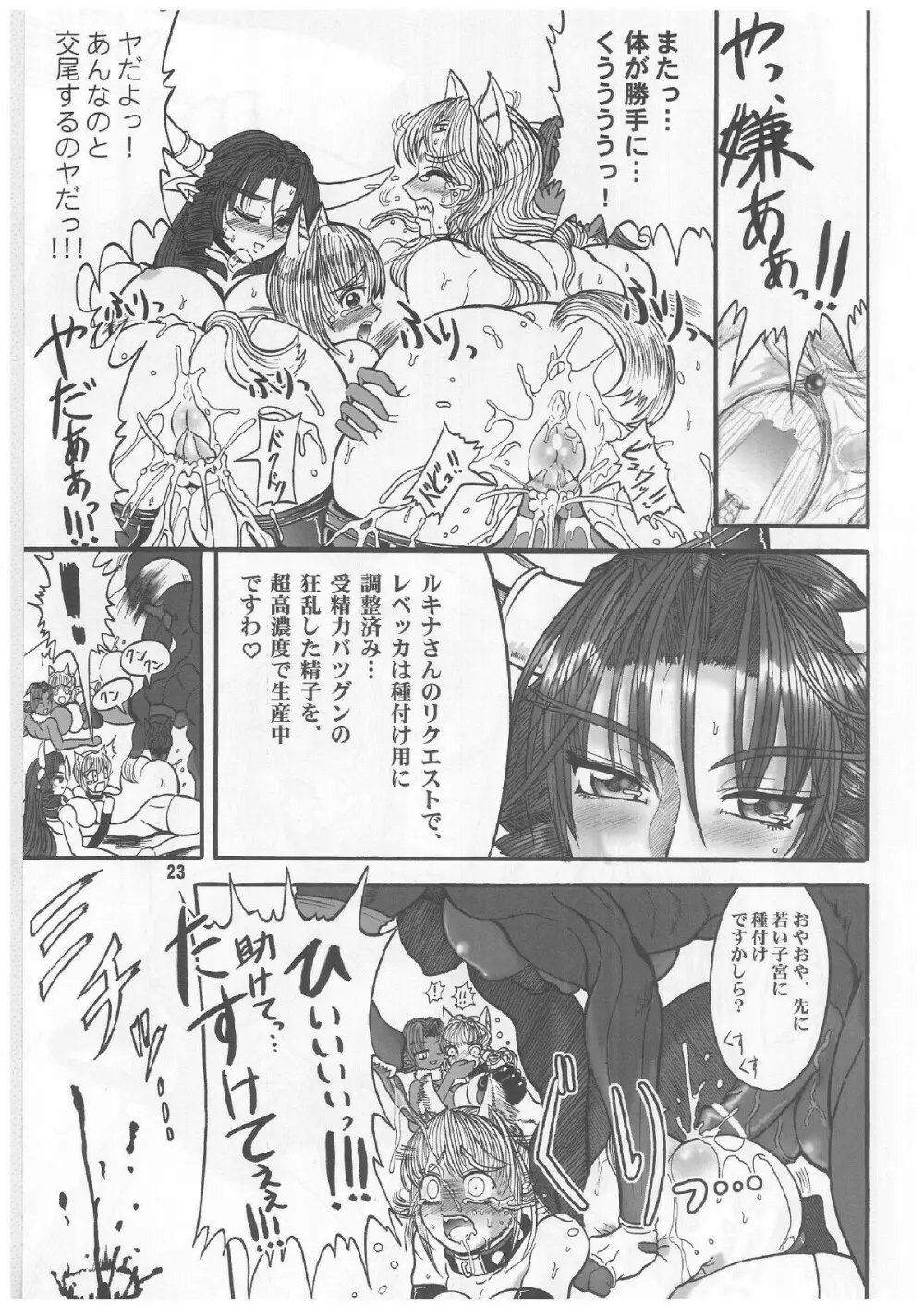 TGWOA Vol.12 - ルキナと犬耳王女 Page.22