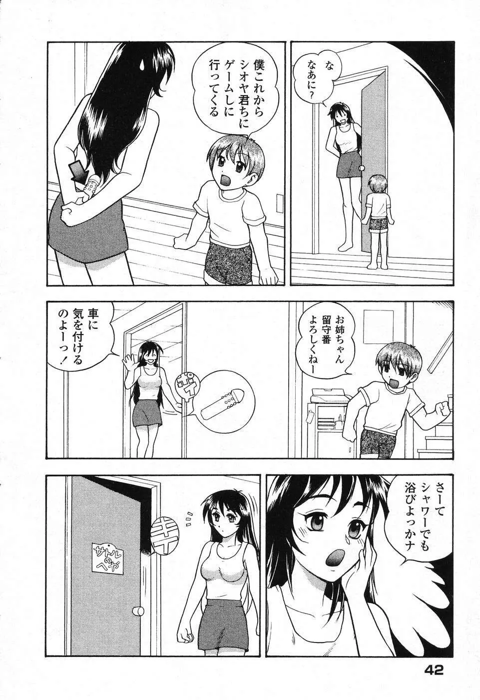 ぴゅあぷちっと Vol. 25 Page.43