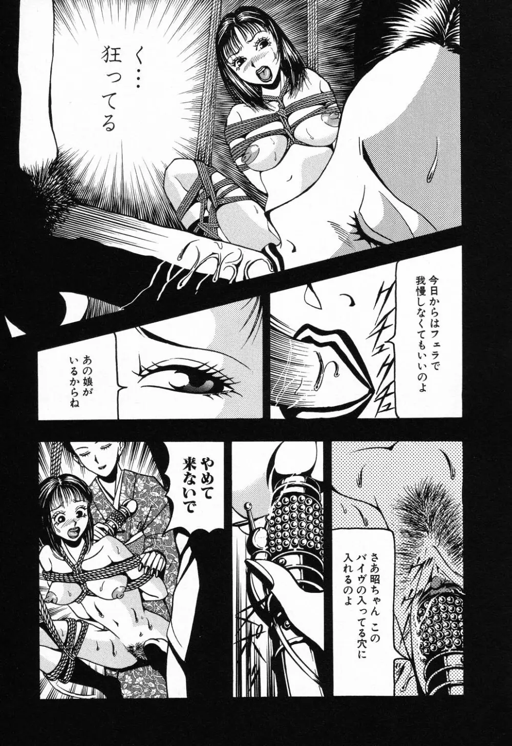 禁断姦淫 Vol.11 いとこ姦 Page.223