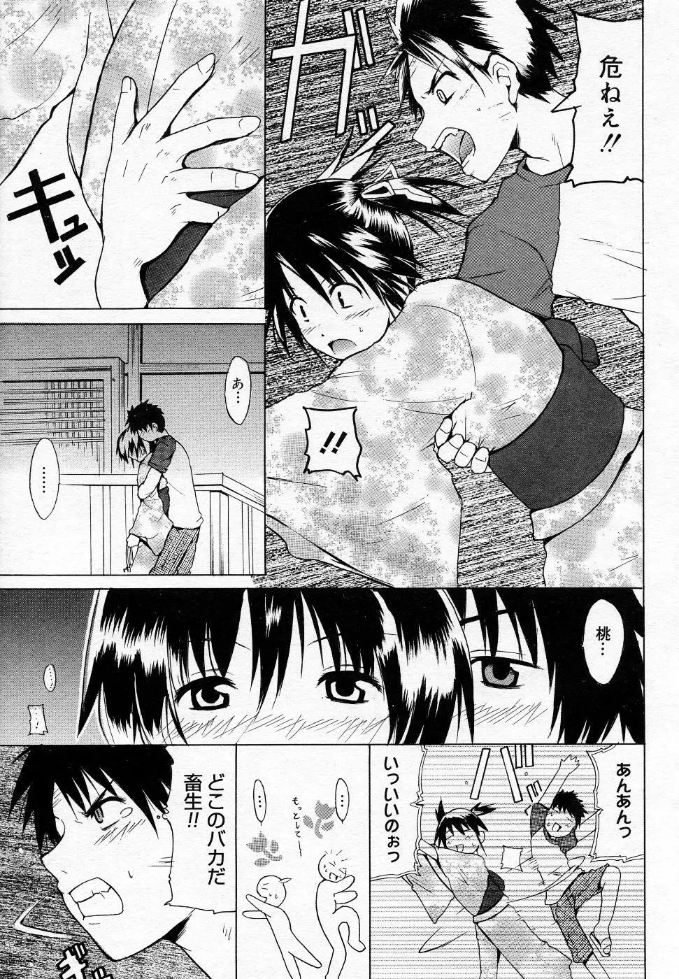 漫画ばんがいち 2005年11月号 Page.42