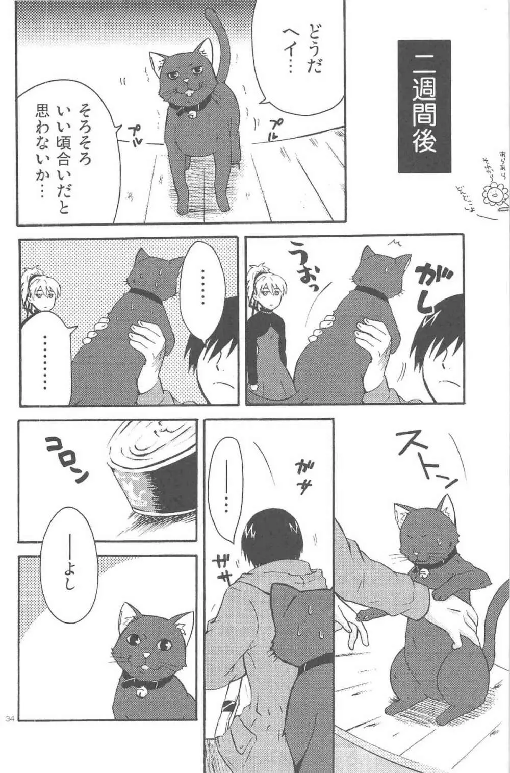 ほしあつめ 表&裏 Page.73