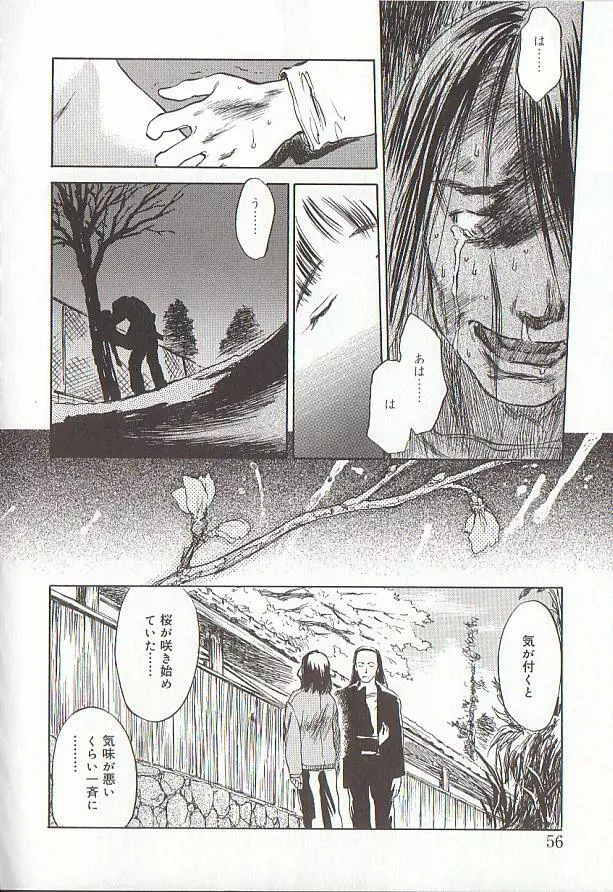 桜色の肖像 Night Gallery I Page.56