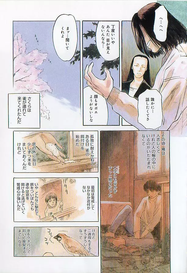 桜色の肖像 Night Gallery I Page.9