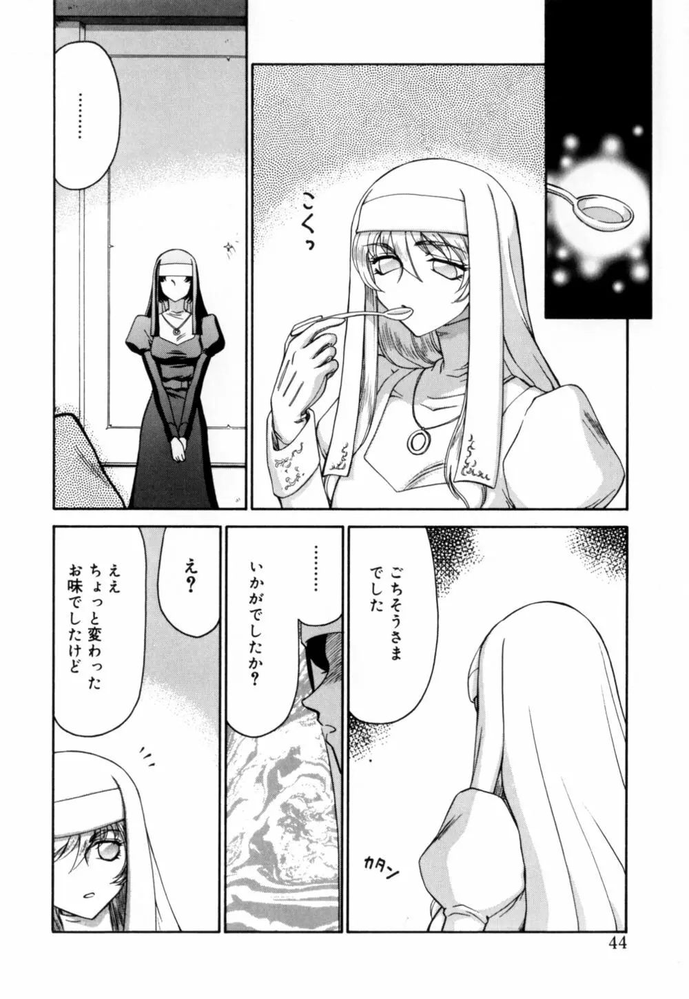 聖王女 フェリシア 上 Page.45