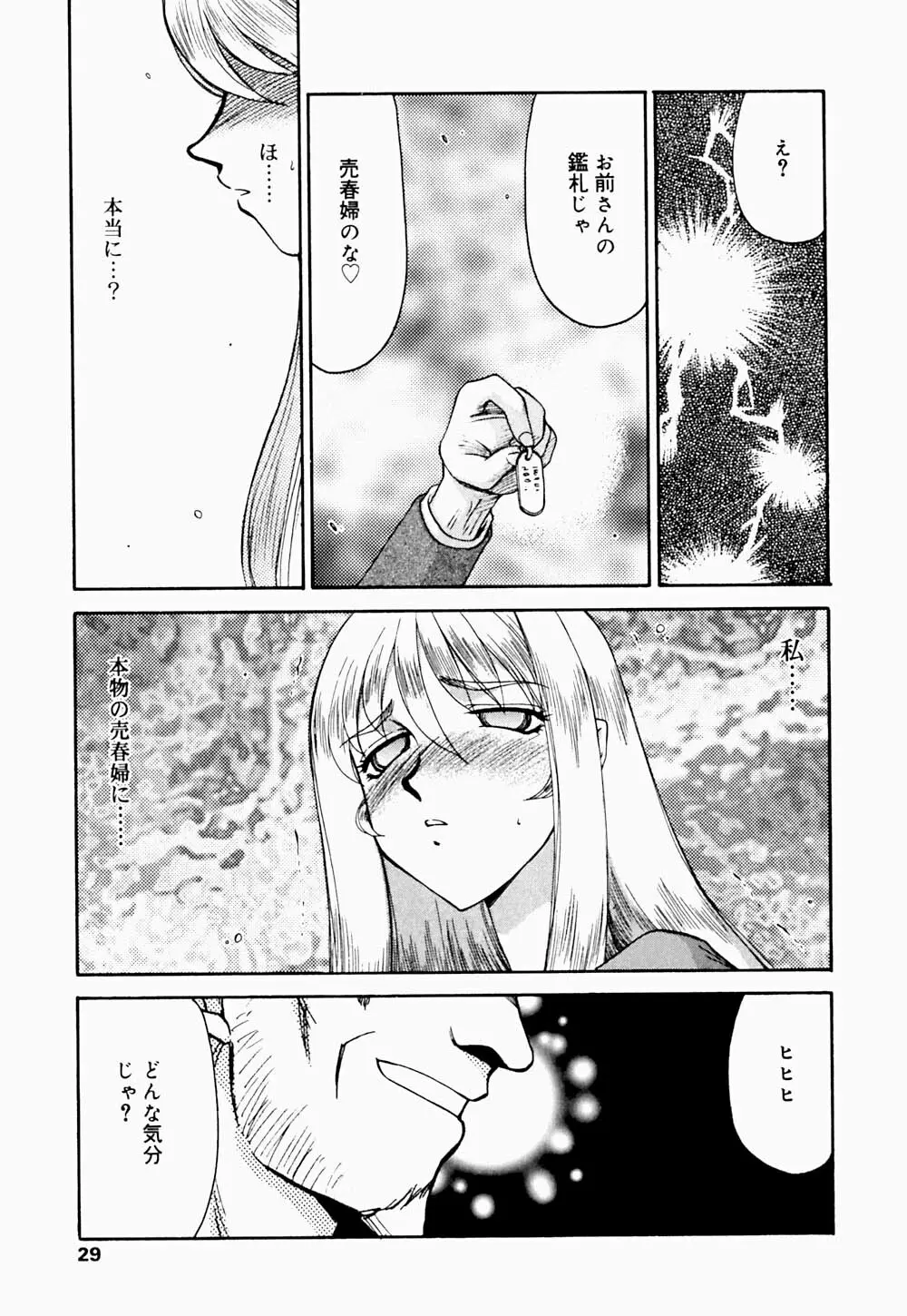 聖王女 フェリシア・下 Page.30